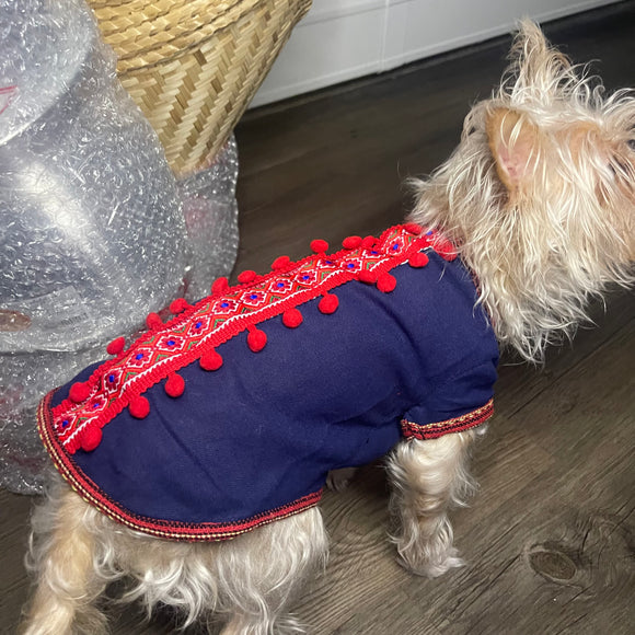 Ethnic Dog Outfit Male 1
