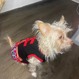 Ethnic Dog Outfit Male 5