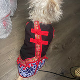 Ethnic Dog Outfit Male 5